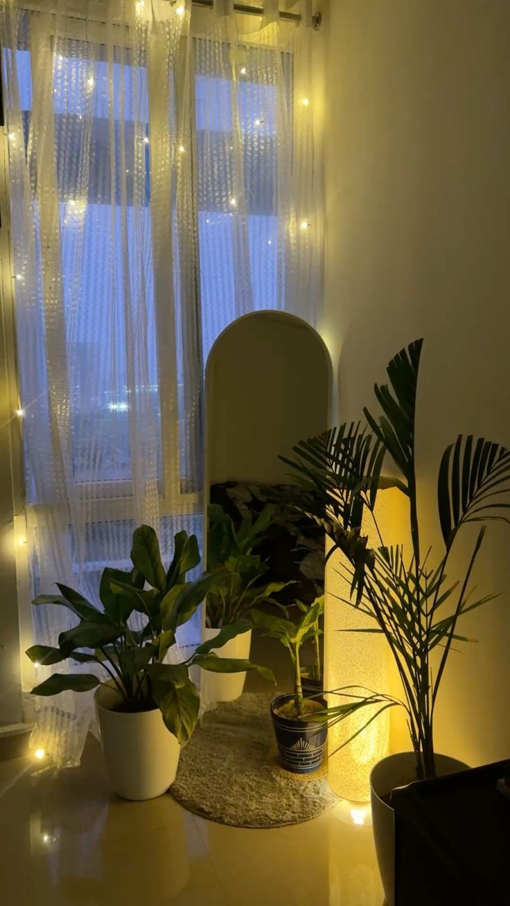 Luxury Arch Full length mirror,