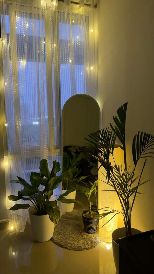 Luxury Arch Full length mirror,6×2 Feet